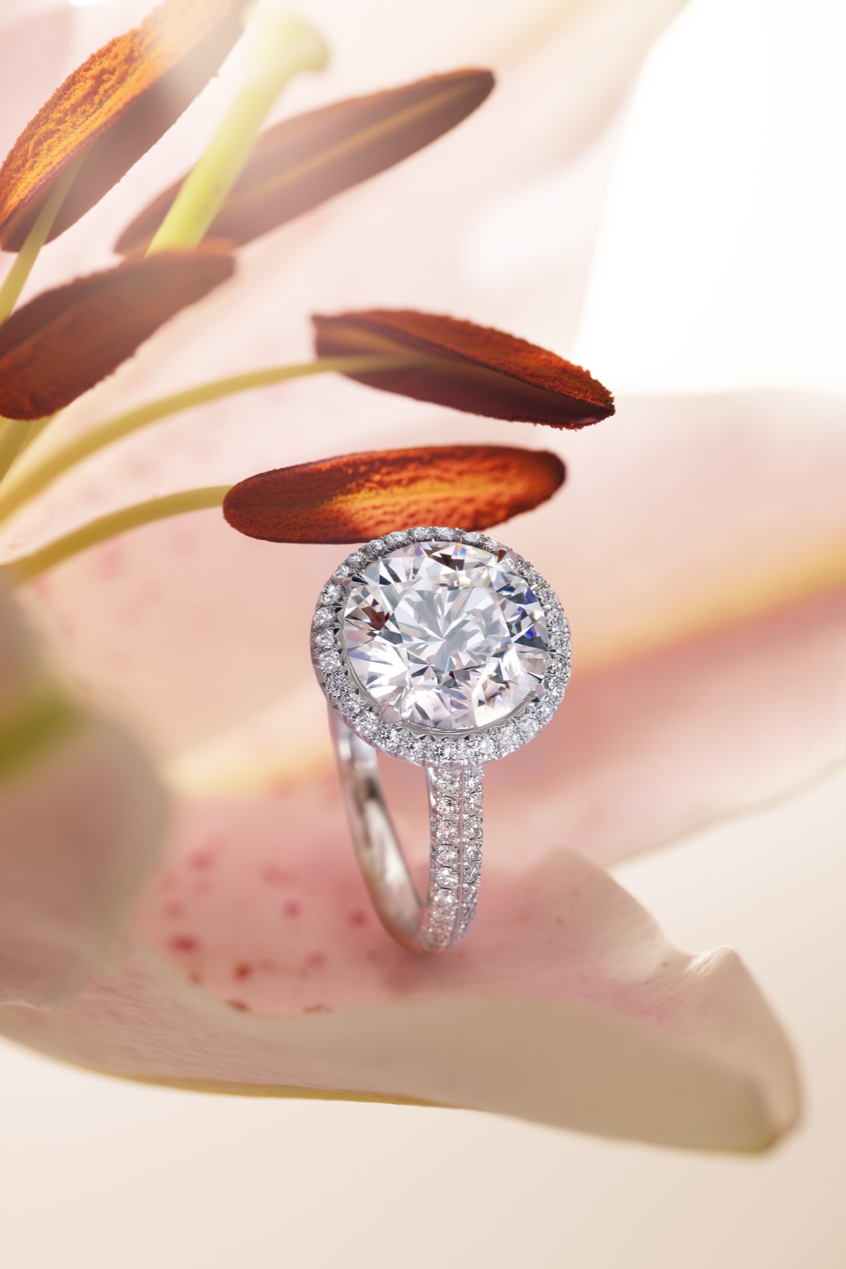 Diamond flower brooch — editorial
