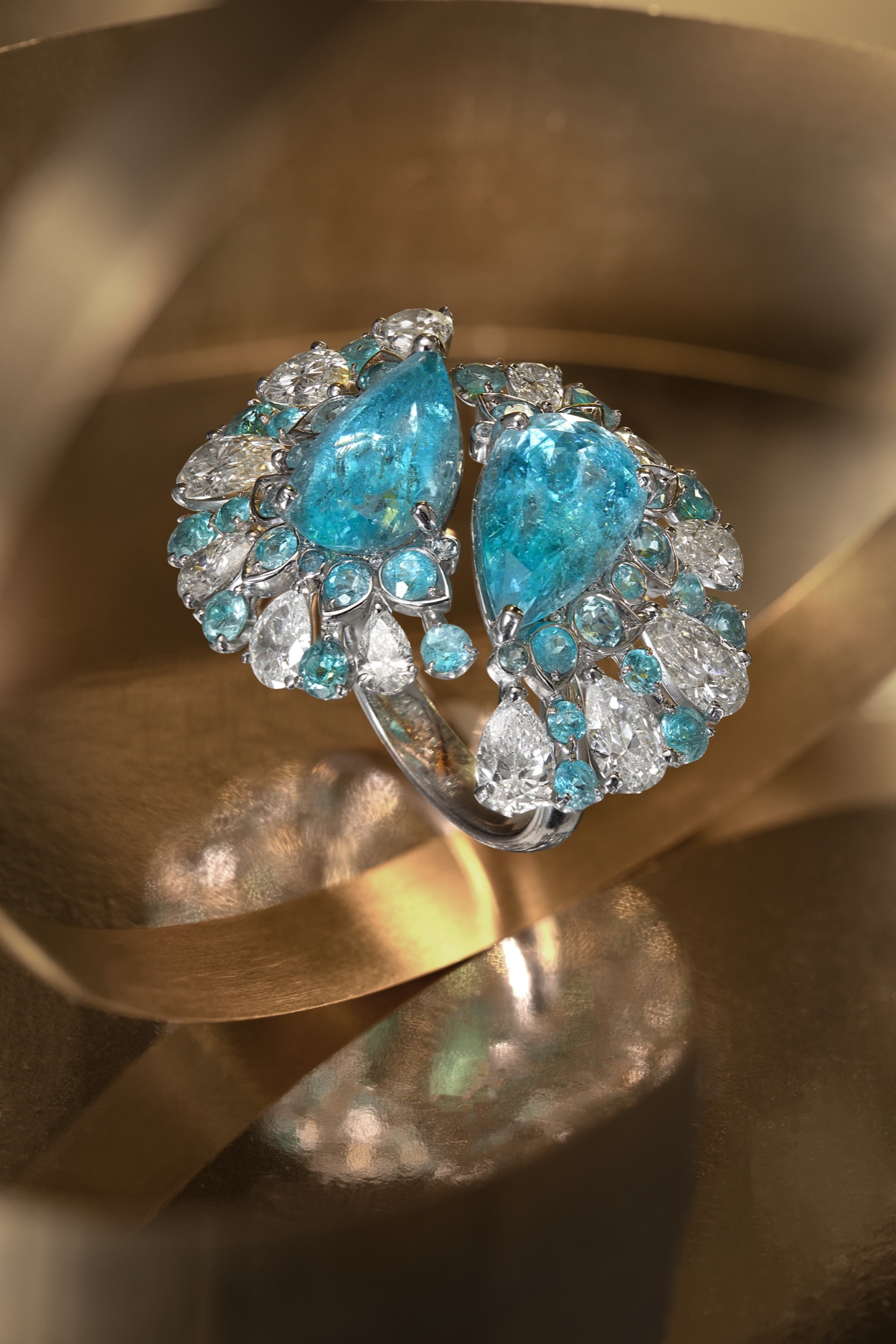 Paraiba campaign